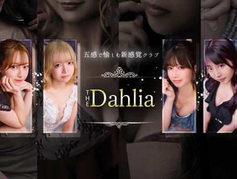 柏・松戸-The Dahlia|ザ ダリア