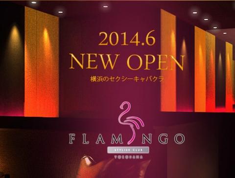 横浜Flamingo[フラミンゴ]|横浜セクキャバの店舗詳細