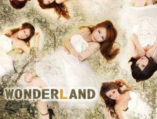 錦・栄-WONDER LAND|ワンダーランド
