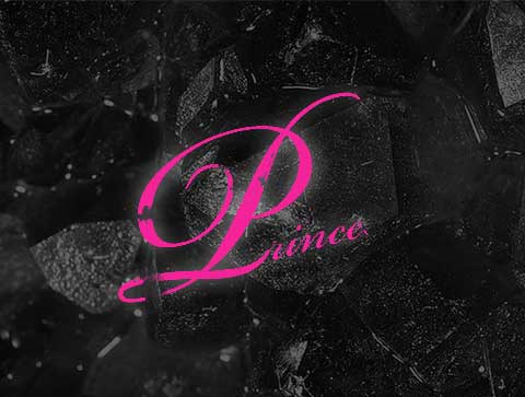 新宿-PRINCESS[プリンセス]