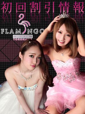 横浜-横浜Flamingo